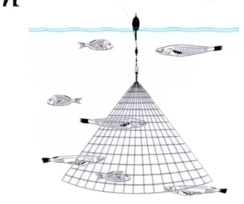 REDINHA P/PEGAR SARDELA CÓD.3561 - Imagem 3