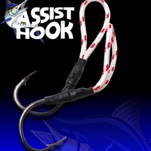 ANZOL ASSIST HOOK
