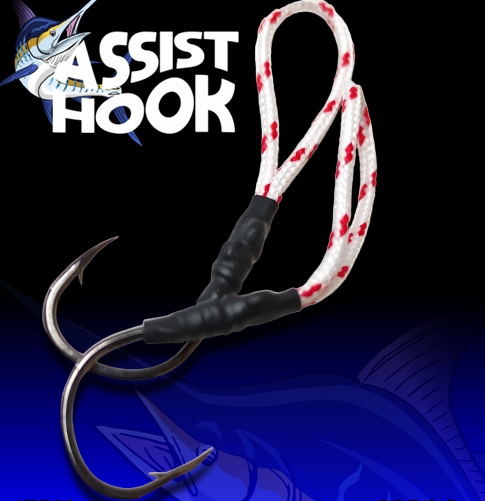 ANZOL ASSIST HOOK